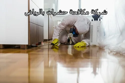 شركة مكافحة حشرات بالرياض