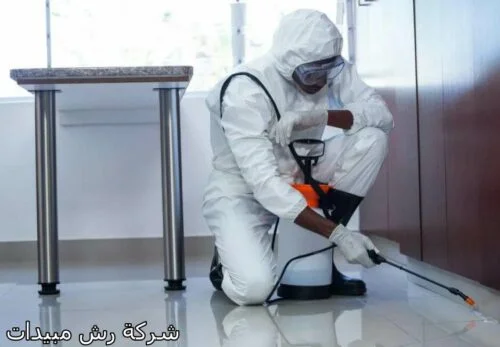 شركة رش مبيدات بالرياض