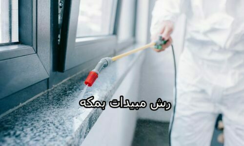 افضل شركة رش مبيدات بمكه