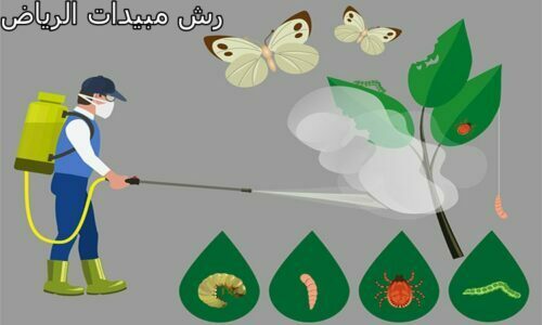 اسعار شركة رش مبيدات بالرياض